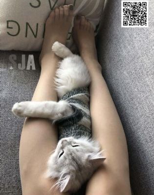 又黄又爽免费视频无遮挡_BD英语全集免费播放
